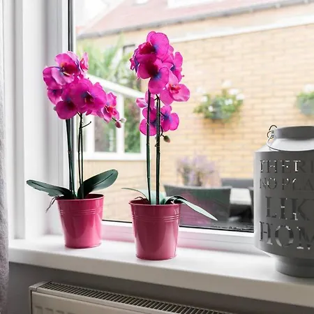 Appartement Modern Ingericht - Rust & Op 350m *