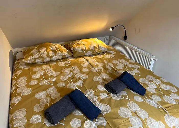 Modern 350 M Zee דירה