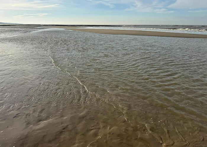 Modern 350 M Zee אגמונד אן זי